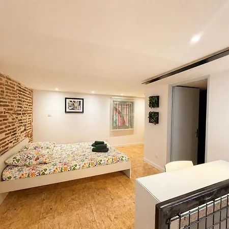 Taur Duplex  Charme - Centre - Linge Fourni Lejlighed Toulouse